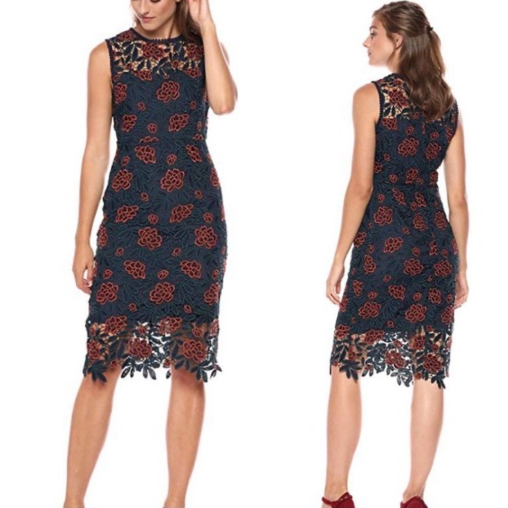 Anthropologie cupcakes & cashmere Navy and Rust Floral Midi Dress NWOT